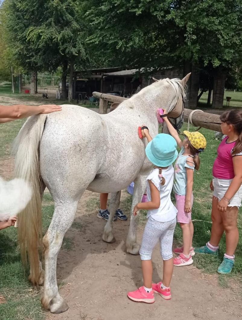 La Tenuta Va Oltre Bovolenta